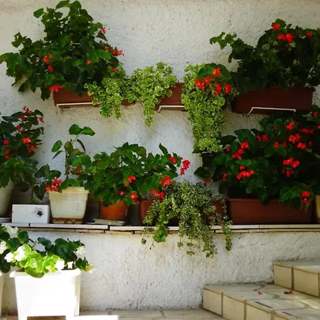 Daire Braco House Podglavica